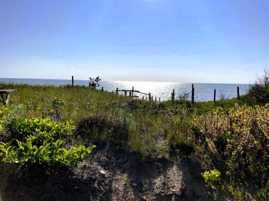 Private Beach/Sleeps 8/Historic Cottage~Windswept Main Image