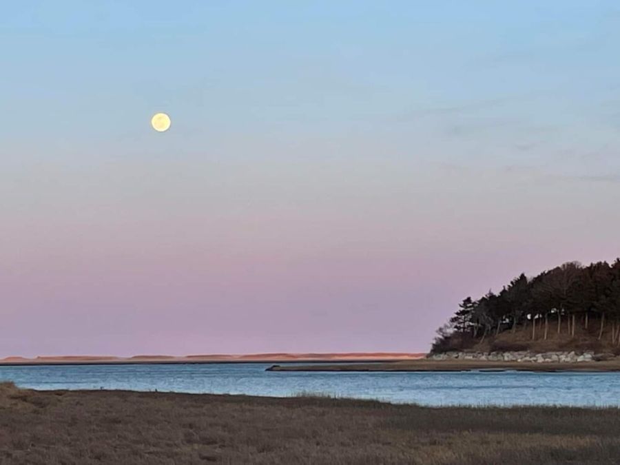 Surf Shack Hideaway - King bed/Dog-Friendly Main Image