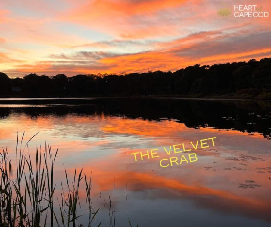 The Velvet Crab~Dog Frndly/Great Location! Main Image