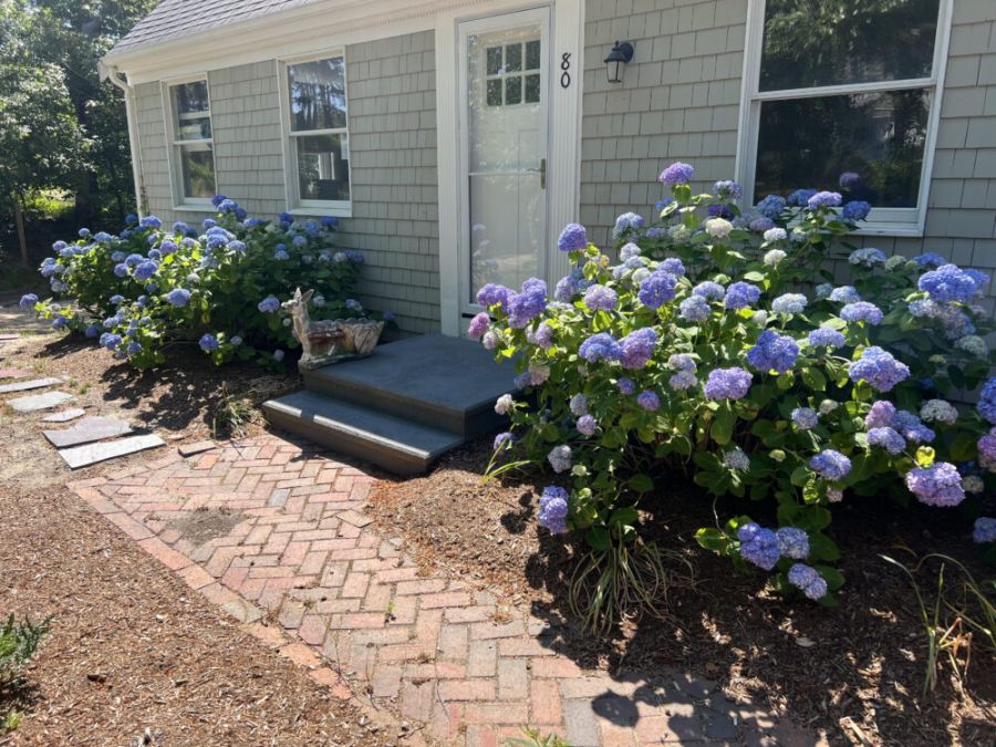 Solace~Dog OK/ Adj. Beds/Game Room/Soaking Tub Main Image