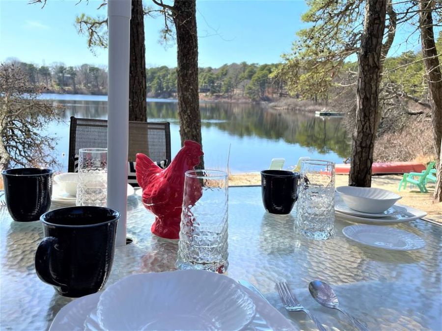 Breakfast on the pond