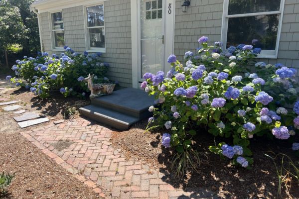 Solace~Dog OK/ Adj. Beds/Game Room/Soaking Tub